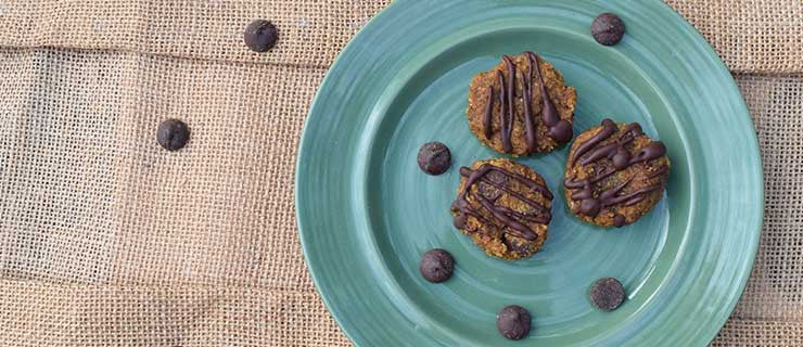 [Paleo] Pumpkin Spiced Chocolate Chip Cookies